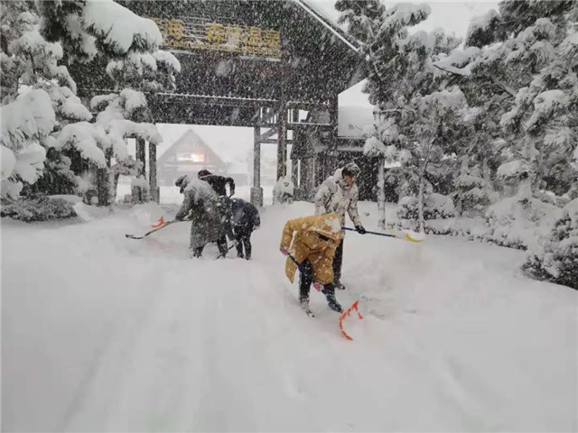 图片14.jpg