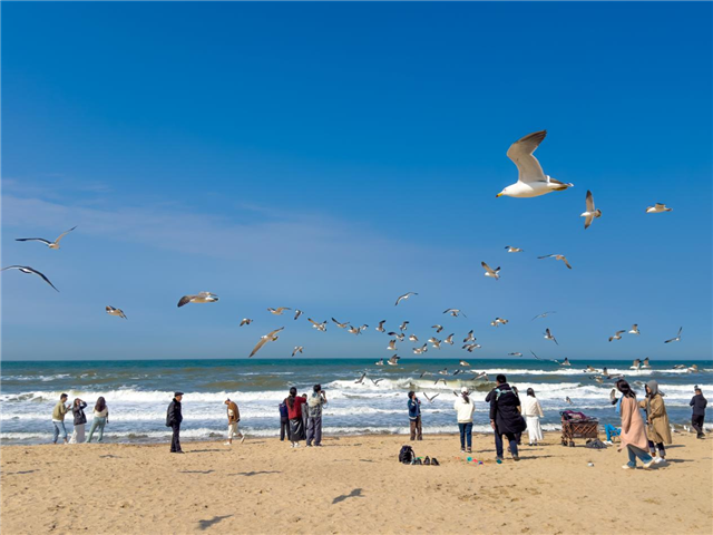 图片8.png 图片8.png