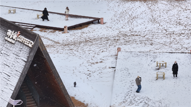 图片3.png 图片3.png