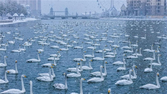 图片8.png 图片8.png