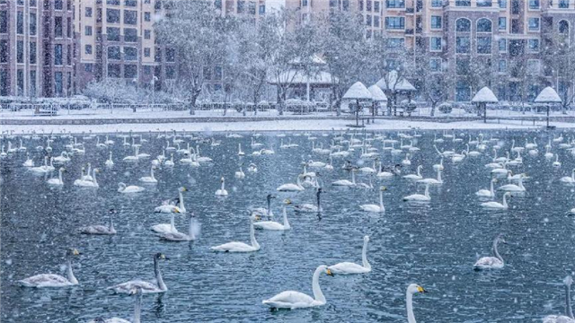 图片9.png 图片9.png