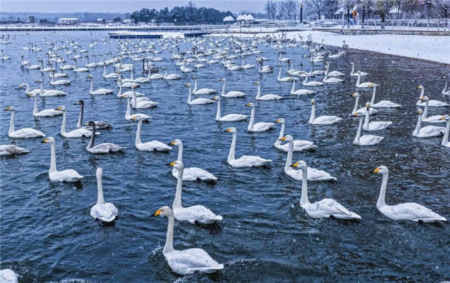 图片12.png 图片12.png