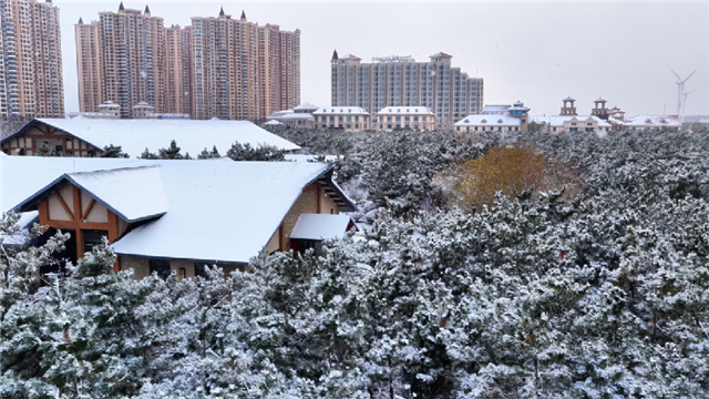 图片15.png 图片15.png