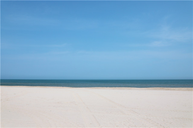 5A1A2525.jpg