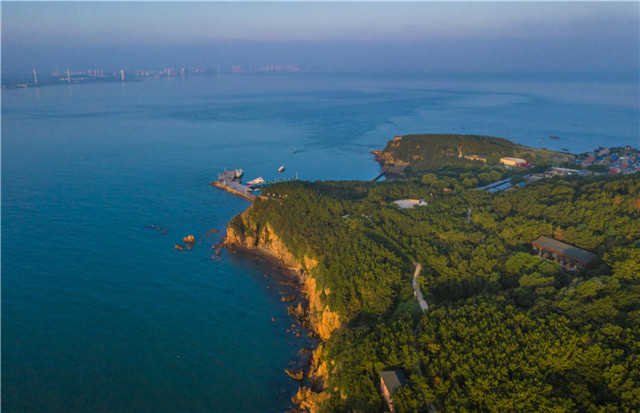 图片7.jpg 图片7.jpg