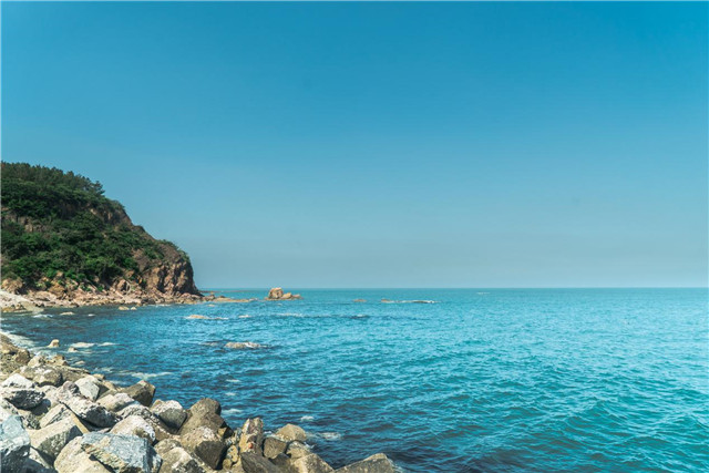 图片8.jpg 图片8.jpg