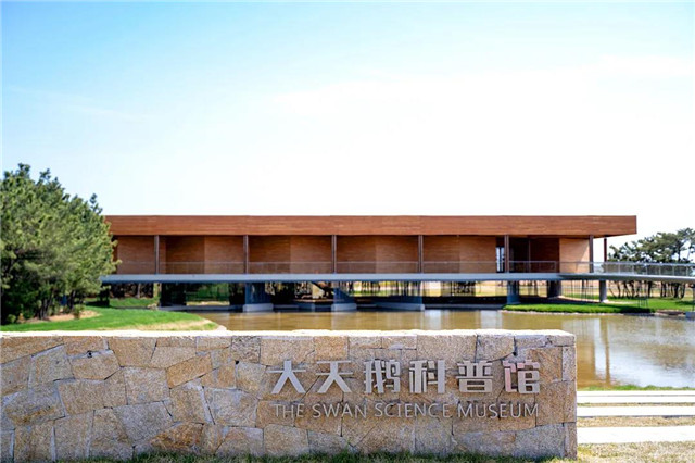 图片13.jpg
