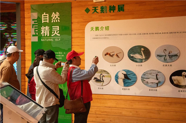 图片36.png