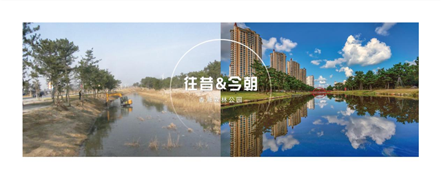 图片33.png