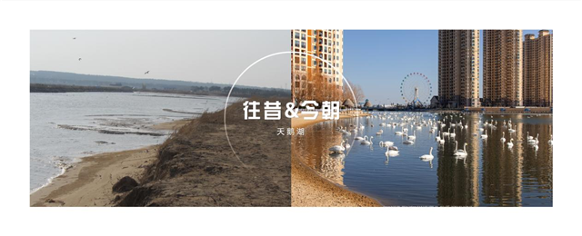图片34.png