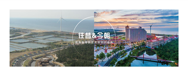 图片35.png